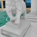 嘉峪关 白麻花岗岩动物异形石雕-大象